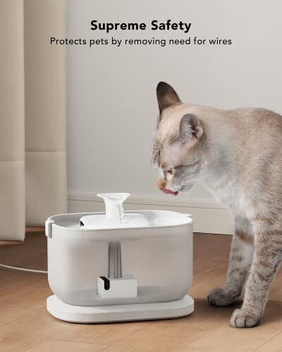 Cat drinking from a wireless water fountain.