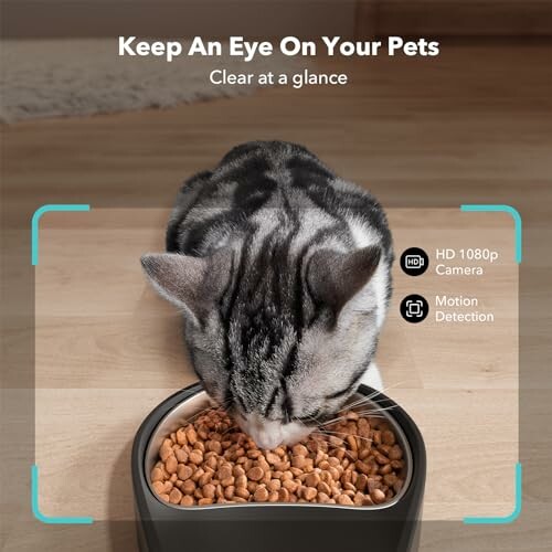 Cat eating from a bowl, promoting a pet monitoring camera with HD 1080p and motion detection.