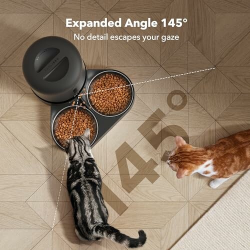 Two cats eating from a dual food bowl with a 145-degree expanded angle view.