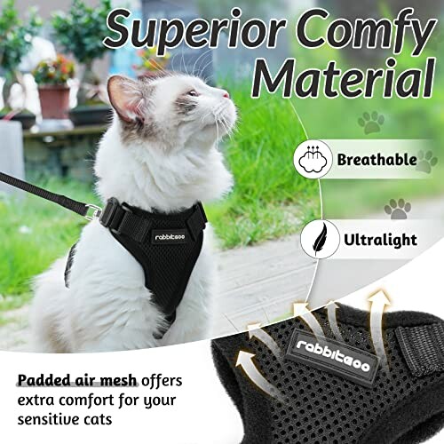 White cat wearing a breathable, ultralight harness outdoors.