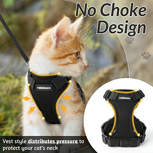 Cat wearing a no choke design harness with pressure distribution.