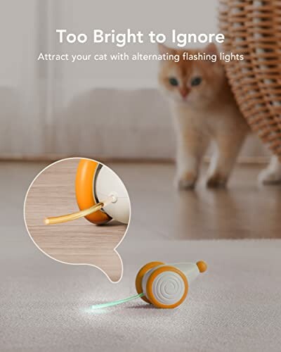 Cat playing with toy featuring flashing lights