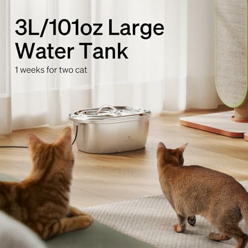 Two cats near a large stainless steel water tank on the floor.