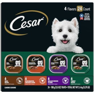 CESAR Adult Wet Dog Food