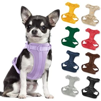 No Pull Lightweight Dog Harness