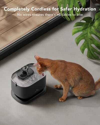 Cat drinking from a cordless water fountain indoors.