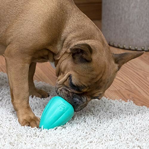 Dog chewing a blue toy on a carpet