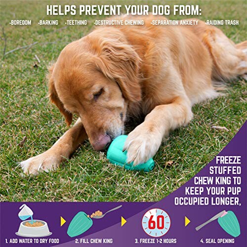 Dog chewing a green toy on grass with instructions to prevent boredom and anxiety.