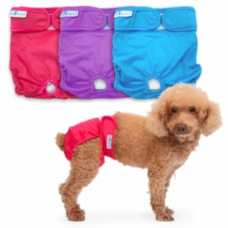 Paw Inspired Dog Diapers