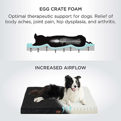 Dog on an egg crate foam mattress for therapeutic support.