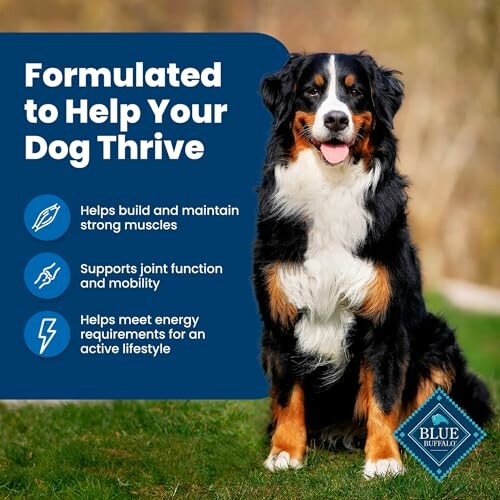 Dog with text about Blue Buffalo dog food benefits