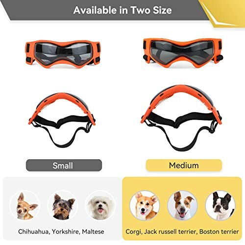 Dog goggles in small and medium sizes with breed recommendations