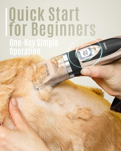 Dog being groomed with a pet grooming tool.