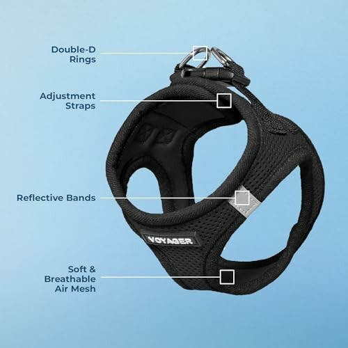 Black dog harness with labeled features on a blue background.