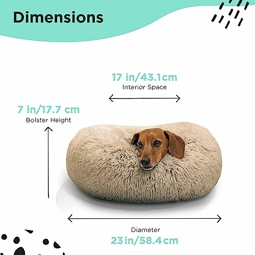 Dog lying in a fluffy round bed with dimensions labeled.