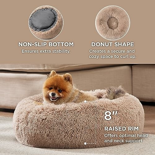 Small dog in a fluffy donut-shaped bed with non-slip bottom and raised rim