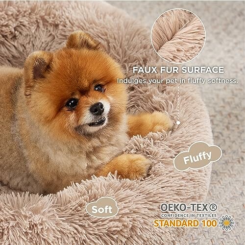 Fluffy dog sitting in a soft faux fur pet bed