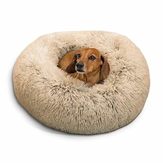 Small dog resting in a fluffy round bed