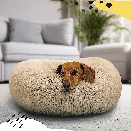 Dog resting in a fluffy round bed in a living room.