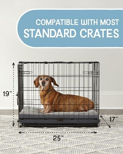 Dog sitting in a metal crate with dimensions displayed.