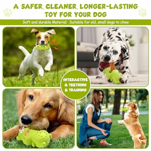 Collage of dogs playing with a green chew toy, highlighting its durability and interactive features.