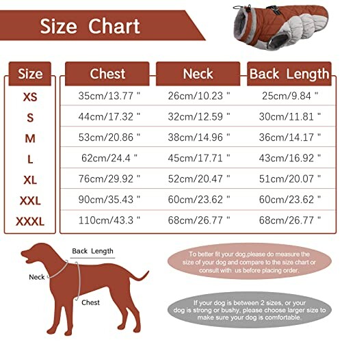 Dog jacket size chart with measurements for chest, neck, and back length.