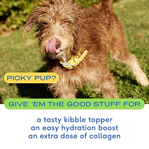 Dog licking lips with text about kibble topper benefits.