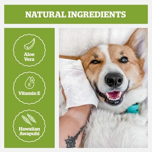 Happy dog being wiped with natural ingredients listed: Aloe Vera, Vitamin E, Hawaiian Awapuhi.