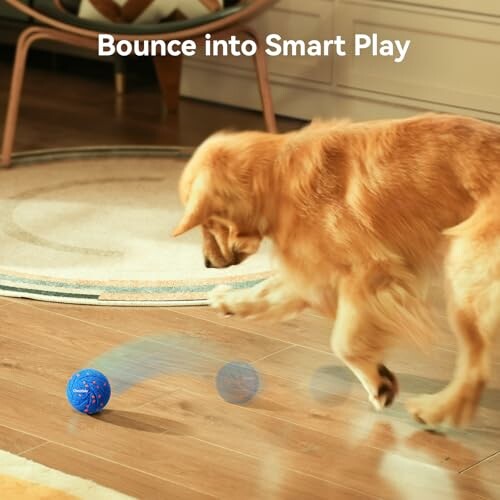 Golden retriever playing with a blue ball indoors