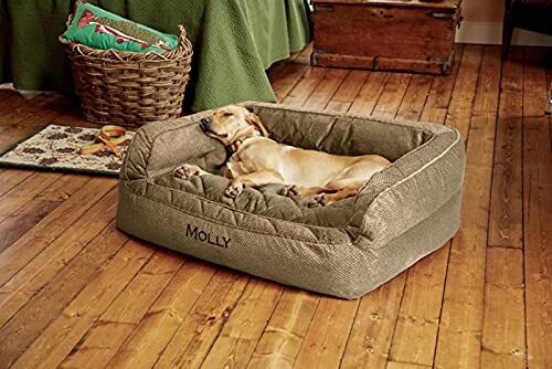 Dog sleeping peacefully in a large, comfy dog bed on a wooden floor.