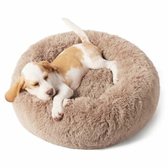 Bedsure Calming Dog Bed for Small Dogs