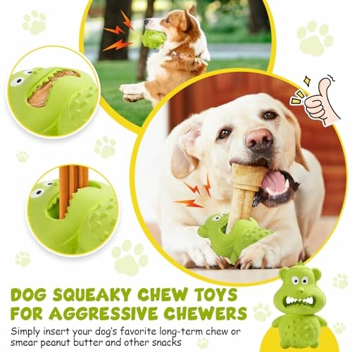 Dogs playing with squeaky chew toys for aggressive chewers.