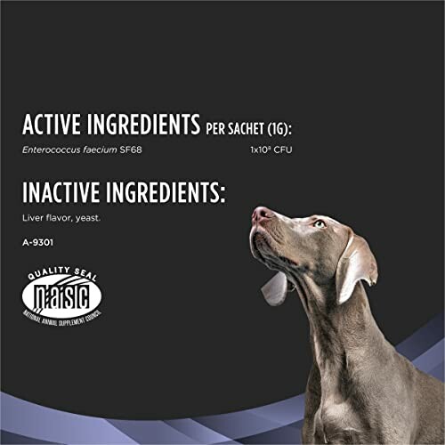 Dog with active and inactive ingredients listed on supplement label.