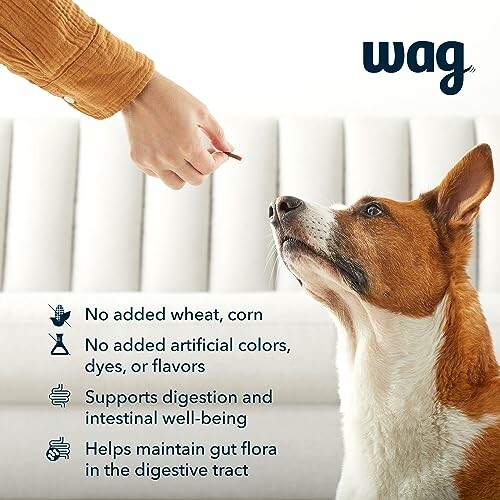 Person offering a treat to a dog with wag branding and product benefits listed.