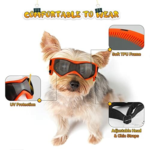 Dog wearing protective goggles with features highlighted