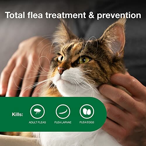 Person holding a cat, promoting flea treatment and prevention.