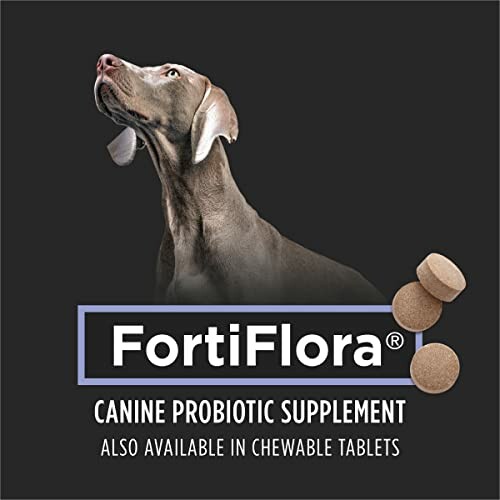 FortiFlora canine probiotic supplement with a dog image and chewable tablets.