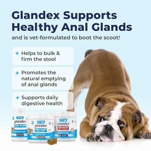 Glandex supports healthy anal glands for dogs with benefits and product images.