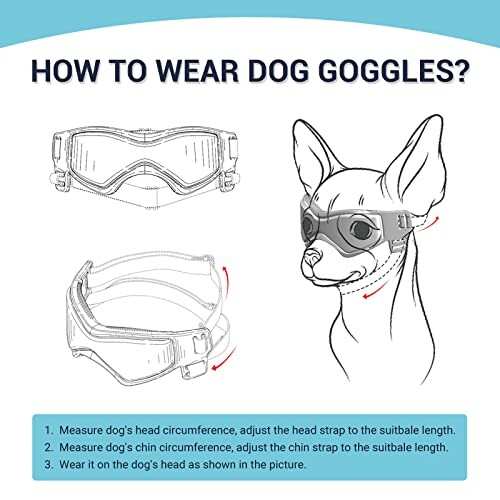 Instructional guide on fitting dog goggles with illustrations