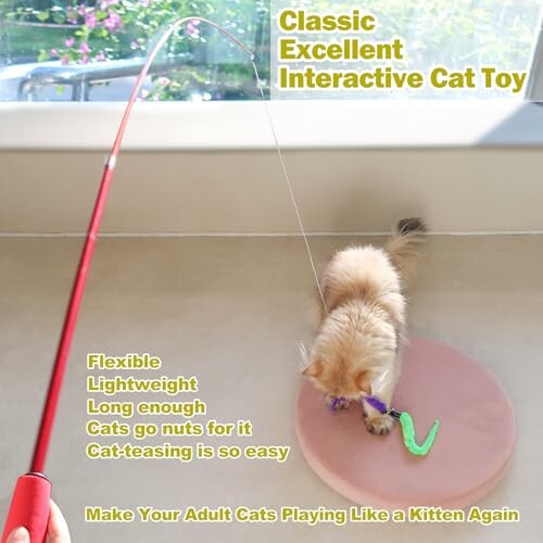 Cat playing with an interactive toy featuring a flexible rod and string.