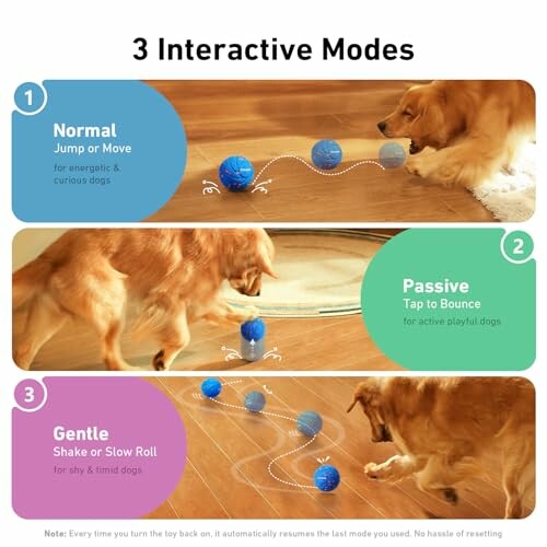 Dog interacting with a toy featuring three modes: normal, passive, and gentle.