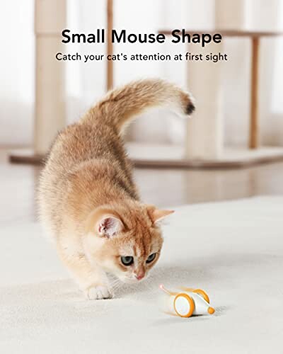 PETLIBRO Interactive Cat Toy