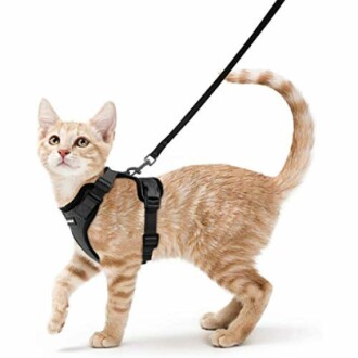 rabbitgoo Cat Harness and Leash