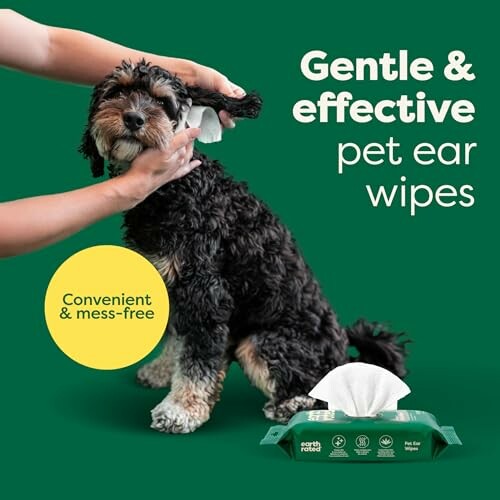 Person using pet ear wipes on a dog with product packaging visible.