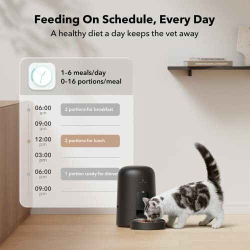 Cat eating from automatic feeder with feeding schedule displayed.