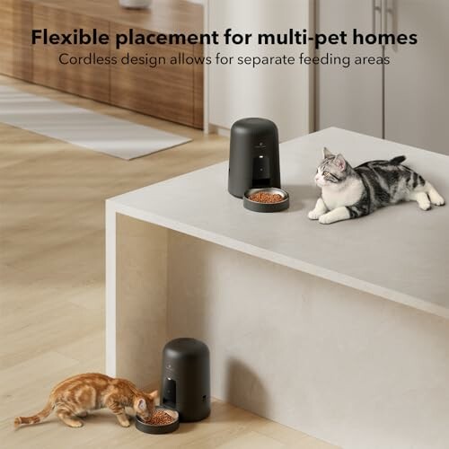 Two cats with automatic pet feeders in a modern home setting.