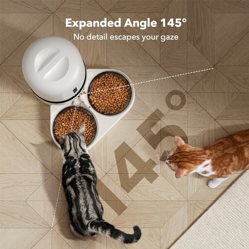 Two cats eating from a pet food bowl with a 145-degree expanded angle.