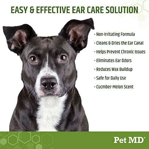 Dog with text about Pet MD ear care solution benefits.