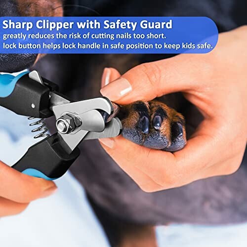 Using a pet nail clipper with safety guard on a dog's paw.