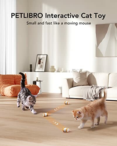 Cats playing with PETLIBRO interactive cat toy in a living room.